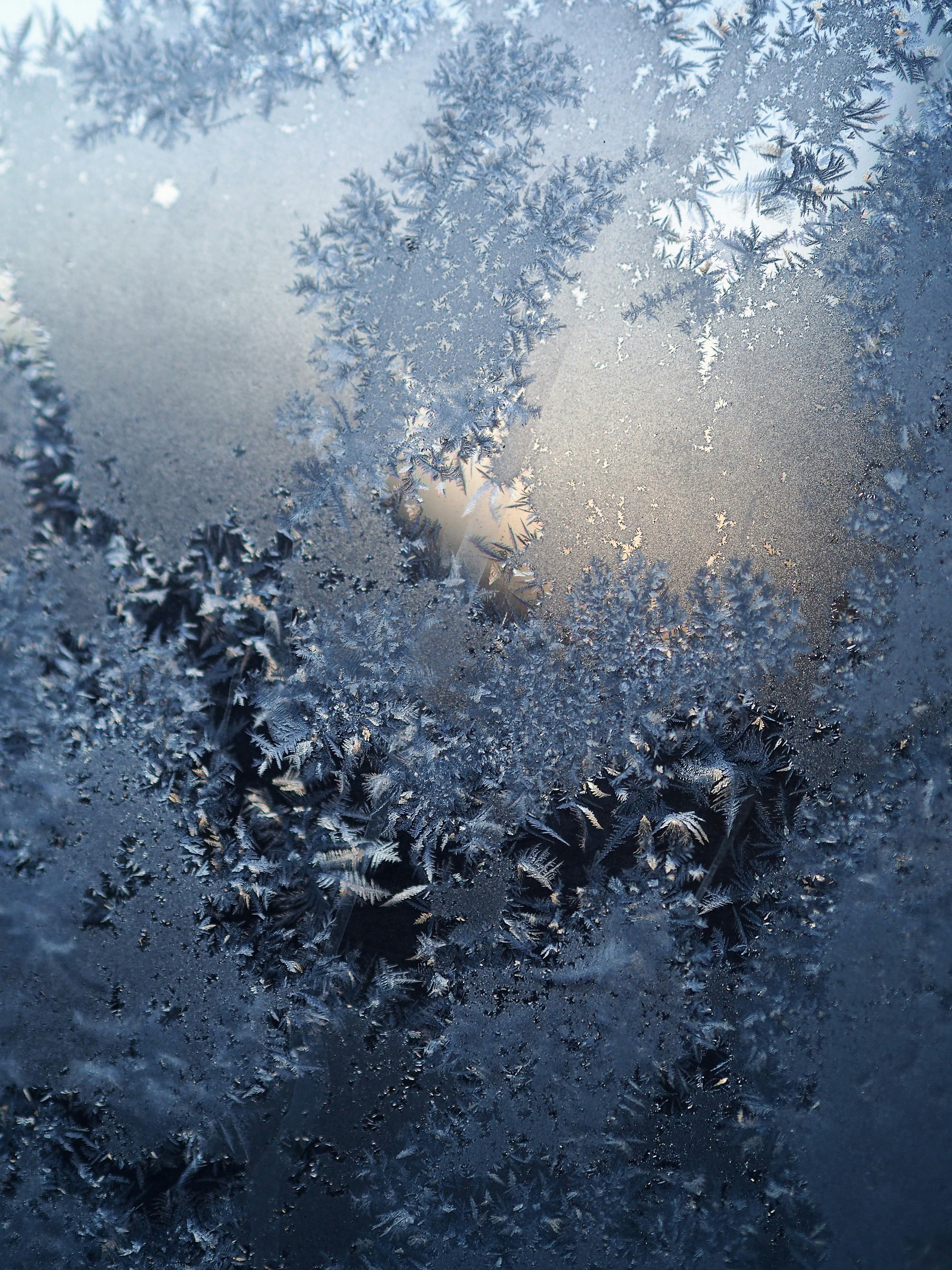 Frosty