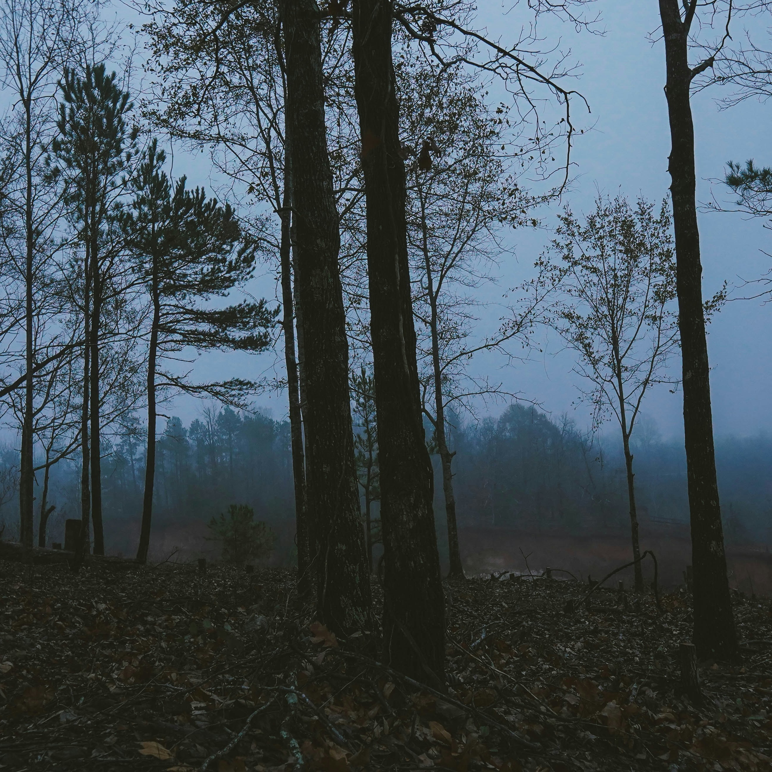 Ominous