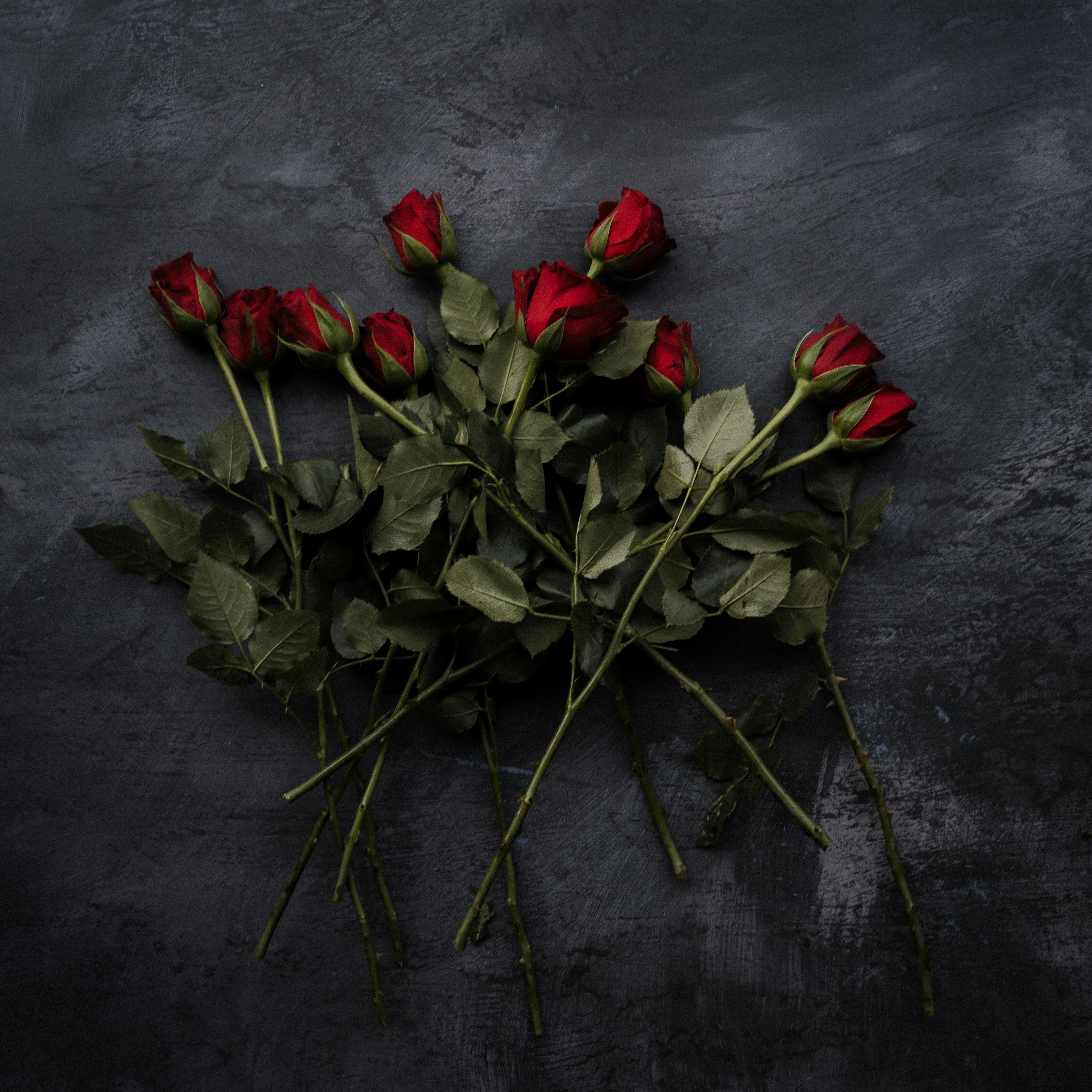 Guns N Roses