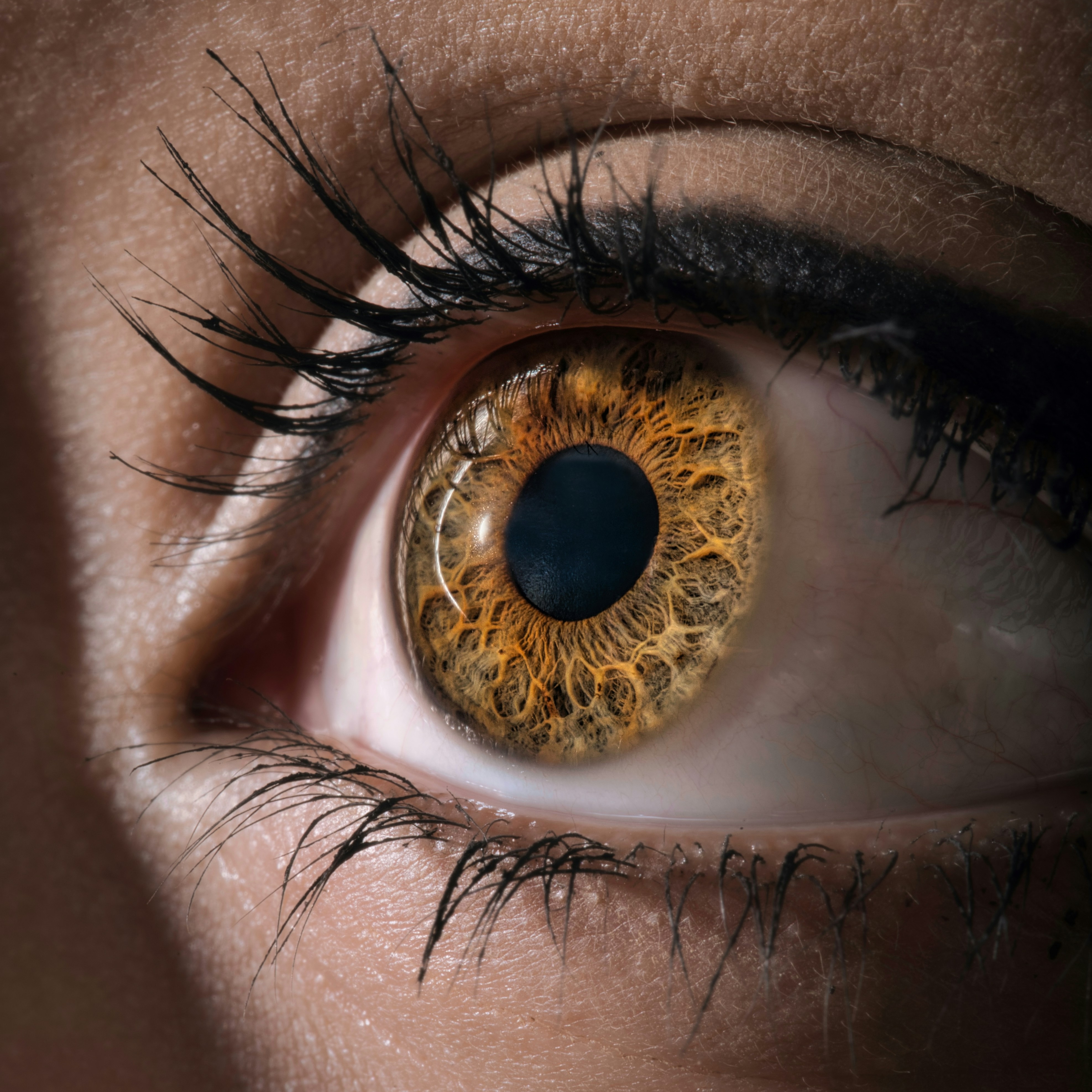 Golden Eye