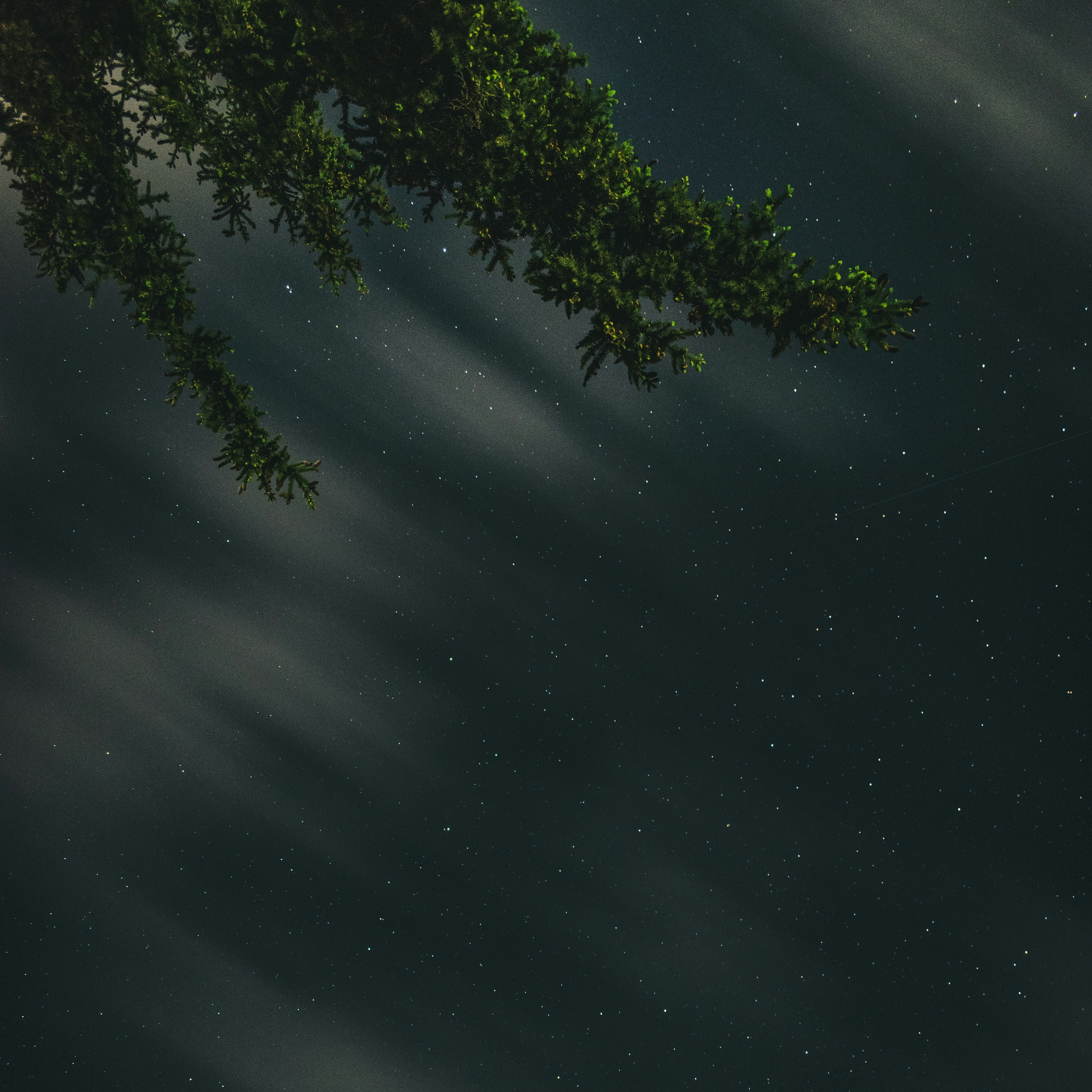 nightbreeze