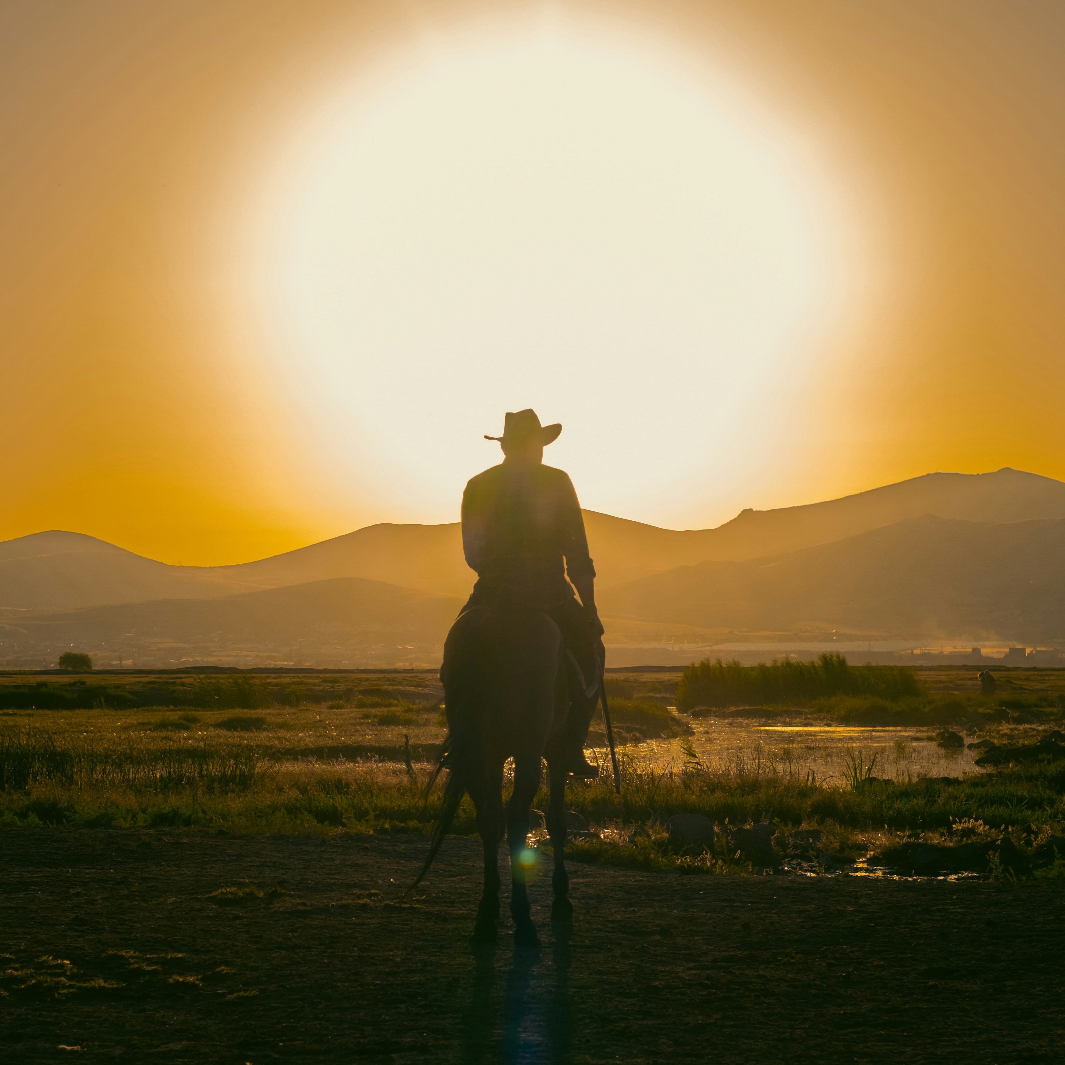 Cowboy
