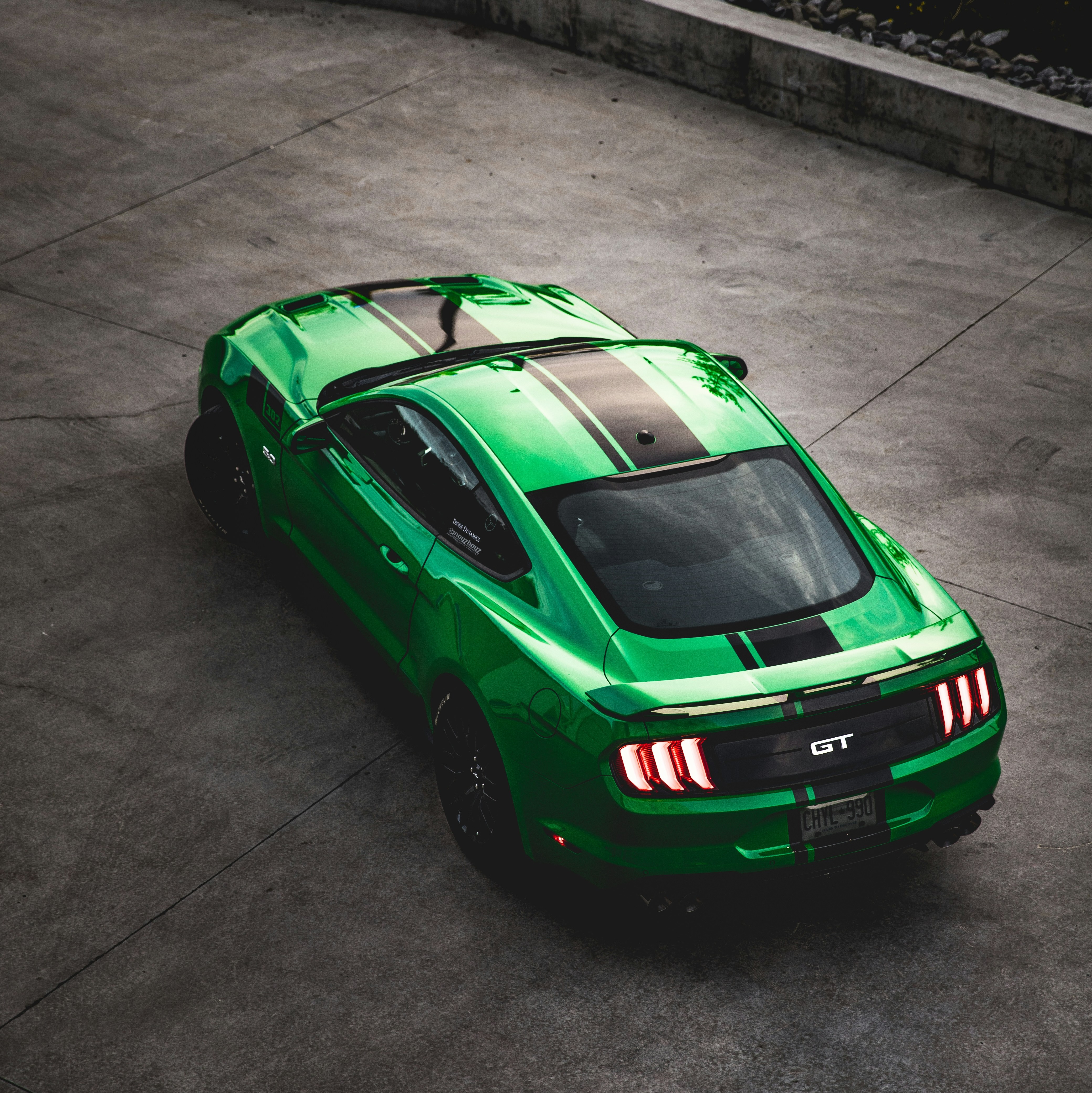 mustang