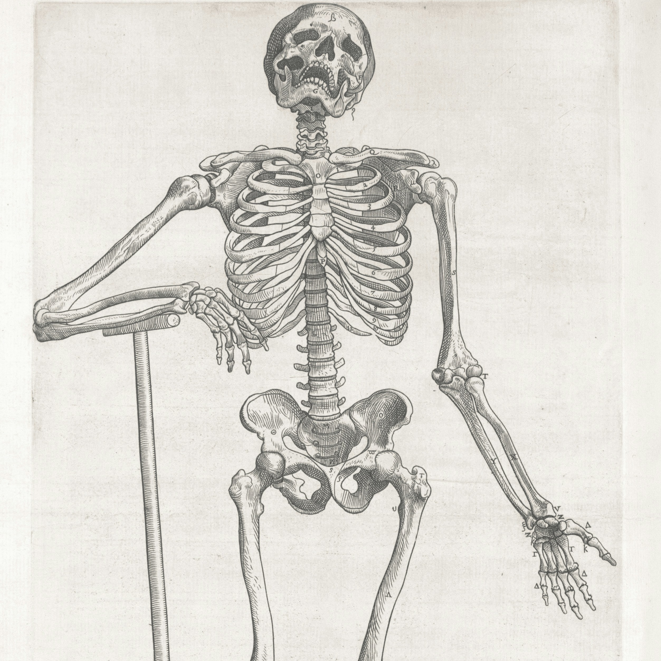 Gashadokuro